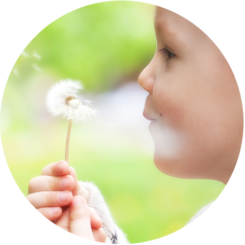 Siitepölyn aiheuttaman allergisen nuhan oireisiin on nopea ja tehokas apu.